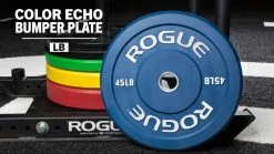 Rogue Fitness Rogue Color Echo Bumper Plates