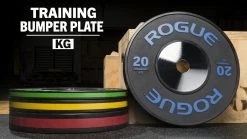 Rogue Fitness Rogue Black Training KG Plates