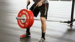 Rogue Fitness Rogue Landmine Handles